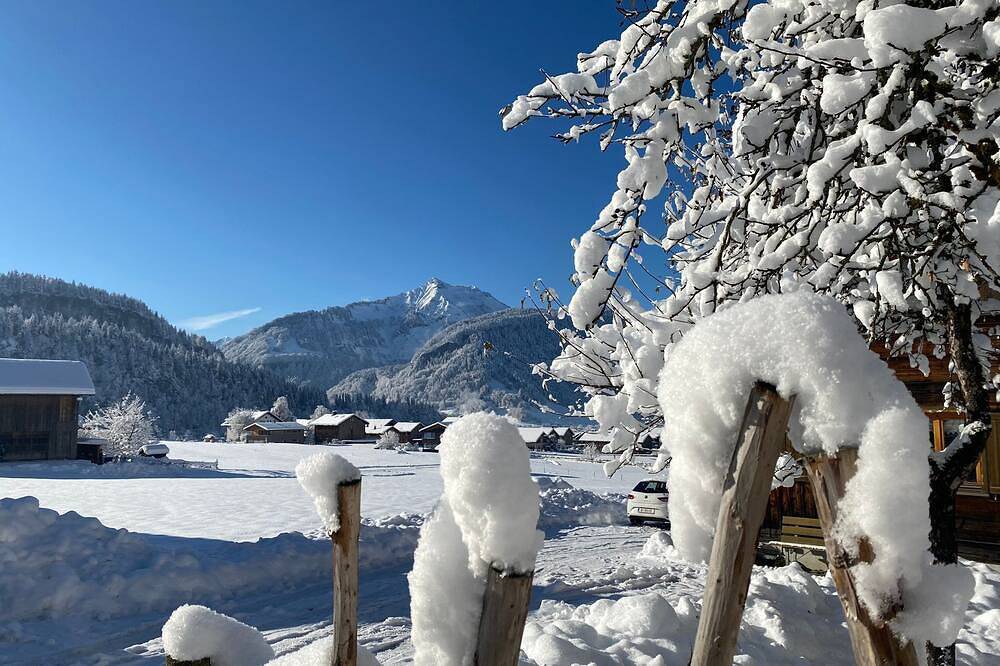 Appartamento intero, Bregenzerwälderhaus Ambros in Bezau, Bregenzerwald