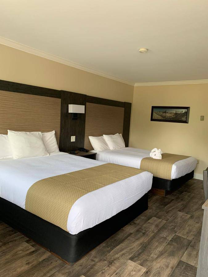 Hotel voor 1 personen - 1