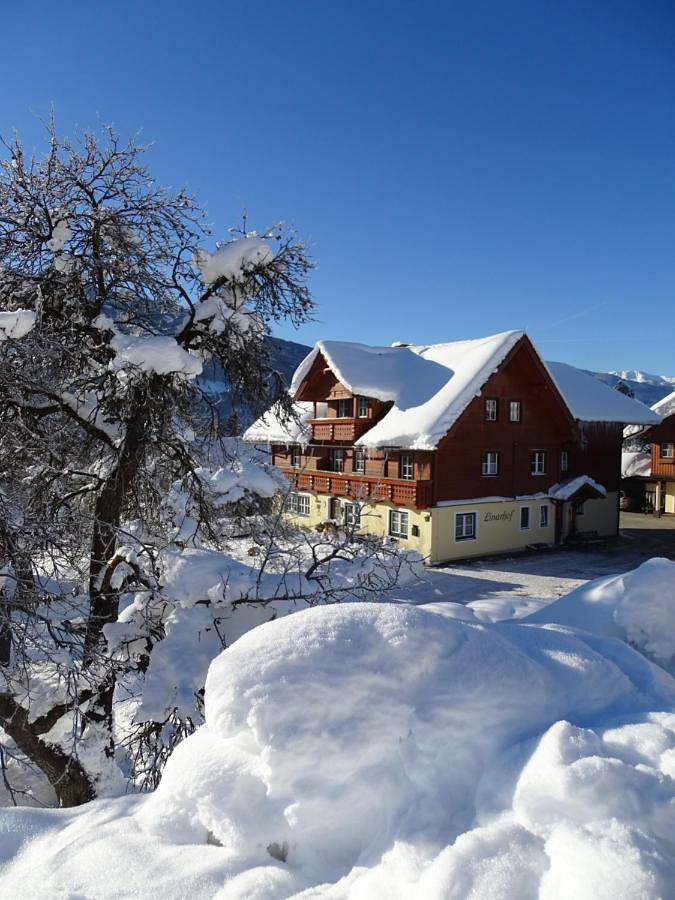 Ganze Wohnung, One-Bedroom Apartment in Haus, Schladming-Dachstein