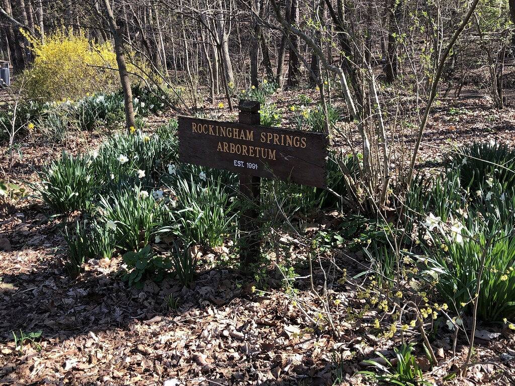 The Nutt House - Peace and wilderness at Massanutten Resort in Massanutten, Blue Ridge Mountains