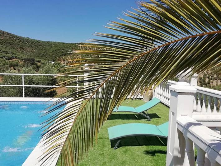 Location de vacances pour 12 personnes, avec jardin et piscine à La Puebla de los Infantes - 2