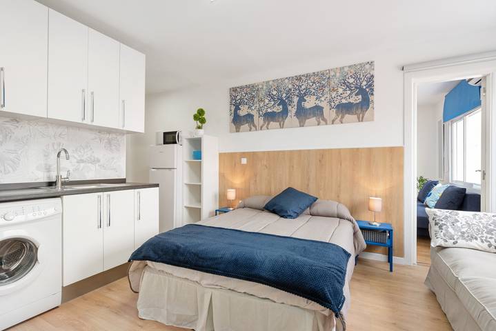 Entire studio, Studio Apartment 'Estudio Larios 9B' with Wi-Fi and Air Conditioning in Malaga Centro Historico, Malaga