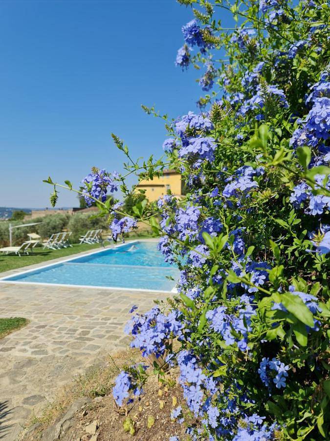 Agriturismo per 6 persone, con Balcone e Terrazza nonché Giardino e Piscina a Fiesole