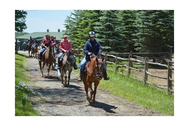 Vacation rental for 12 people, with pool and terrace as well as hot tub in Seven Springs