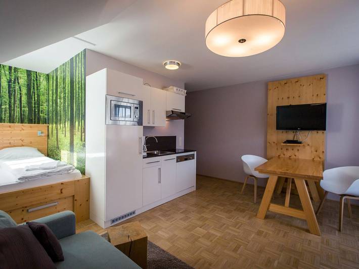 Ferienwohnung für 2 Personen, mit Balkon an der Turracher Höhe - 3