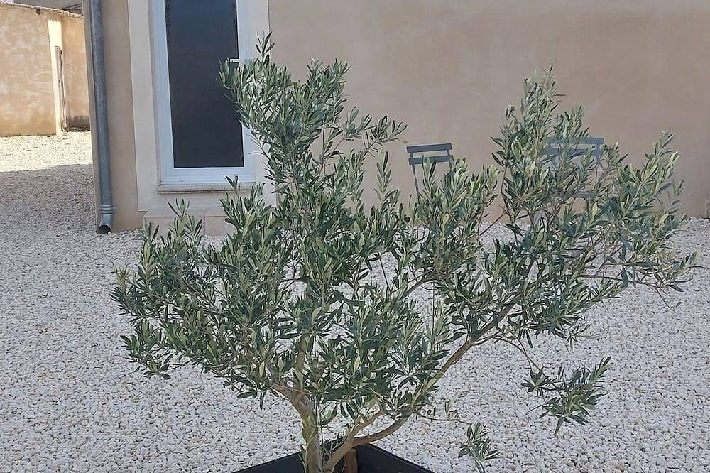 Appartement entier, Appartement agréable et lumineux décoré avec amour in Pernes-les-Fontaines, Vaucluse