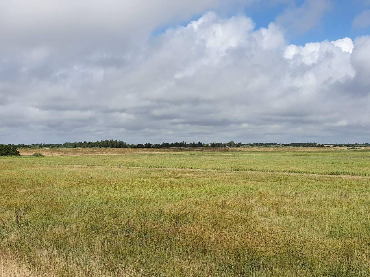 Gemutliches Strandrefugium in Blavand in Blavand, Varde