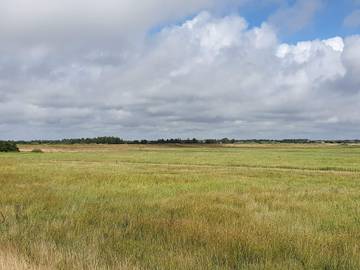 Ferieudlejning til 4 Personer i Blåvand, Vesterhavet, Billede 4