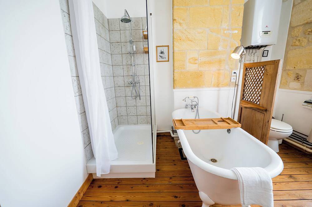 Charming house on the banks of the Garonne 20 minutes from Bordeaux in Langoiran, Región de Langon
