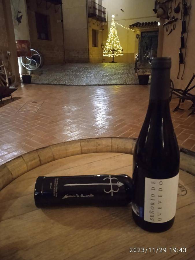 Aparthotel para 4 personas, con vistas y jardín, Familias con niños en Provincia de Ciudad Real