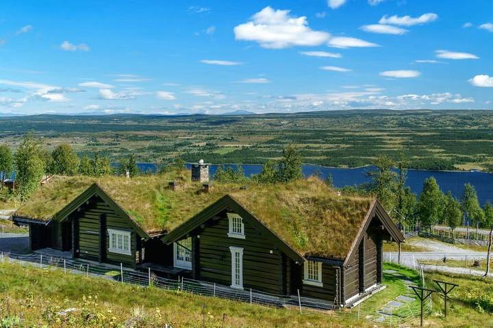 Ferienhaus für 12 Personen, mit Garten und Terrasse, mit Haustier - 1
