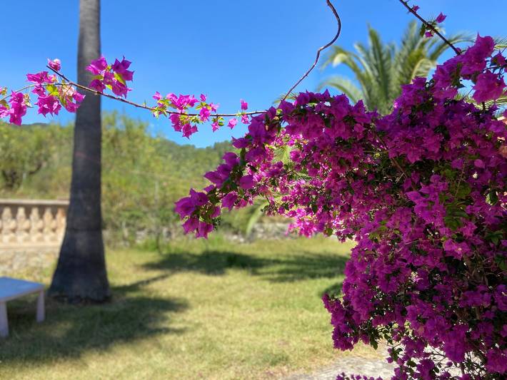 Finca für 11 Personen, mit Garten in Alaró - 4