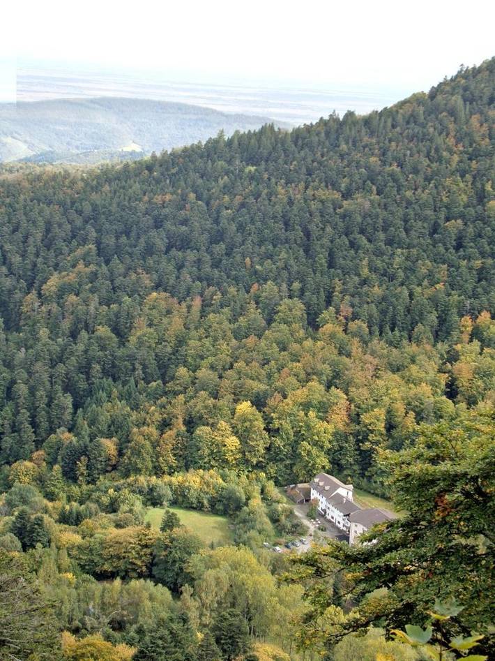 Hôtel pour 3 personnes, avec piscine et sauna ainsi que jacuzzi et jardin, animaux acceptés