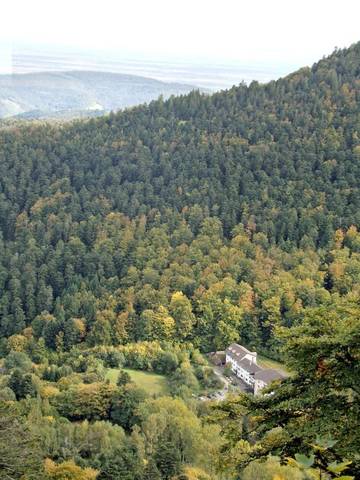 Hôtel pour 3 personnes, avec sauna et jardin ainsi que jacuzzi et piscine, animaux acceptés à Murbach