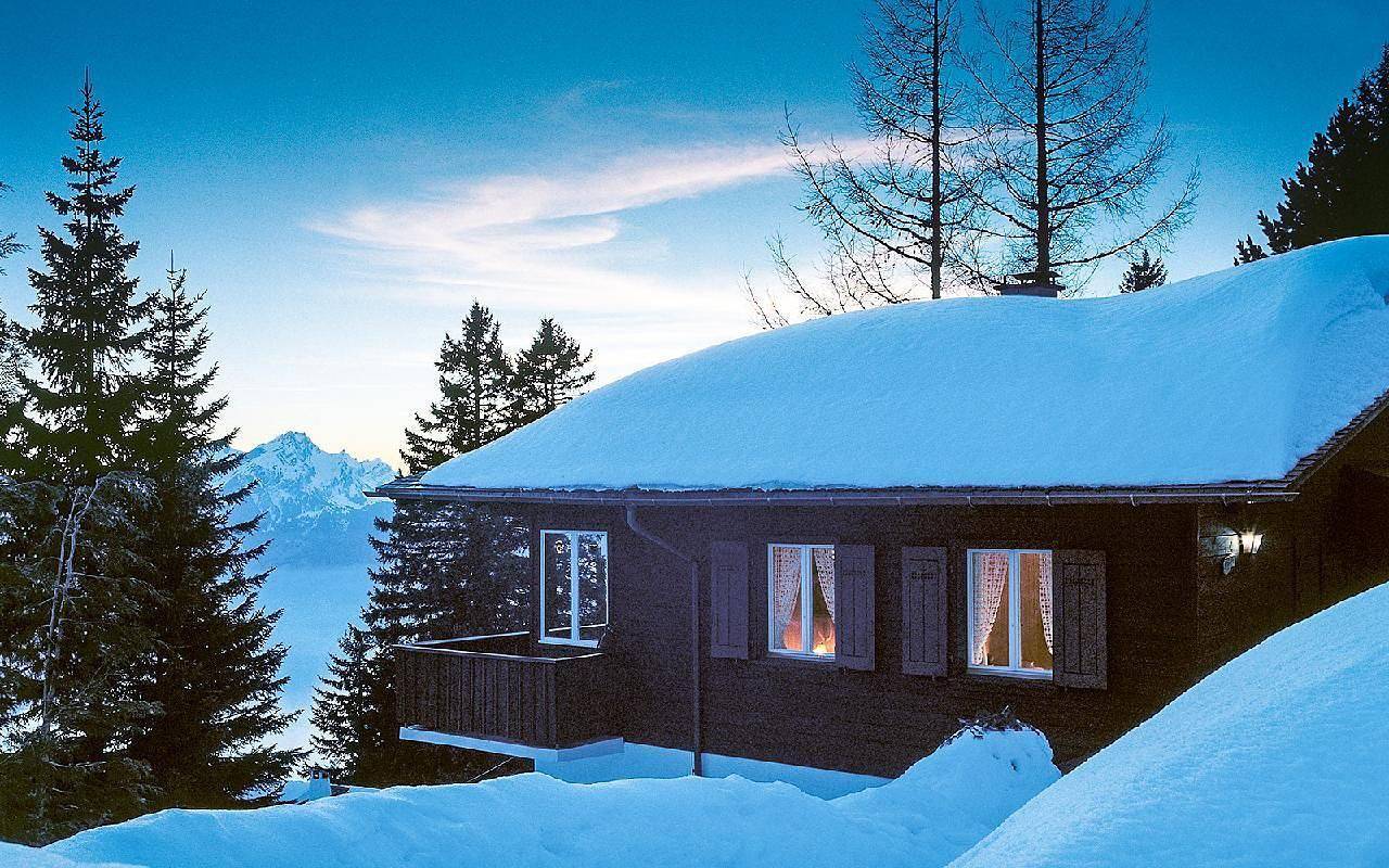 Ganze Ferienwohnung, Ferienchalet Rigirolle 2-Zimmer-Wohnung Parterre in Vitznau, Vierwaldstättersee