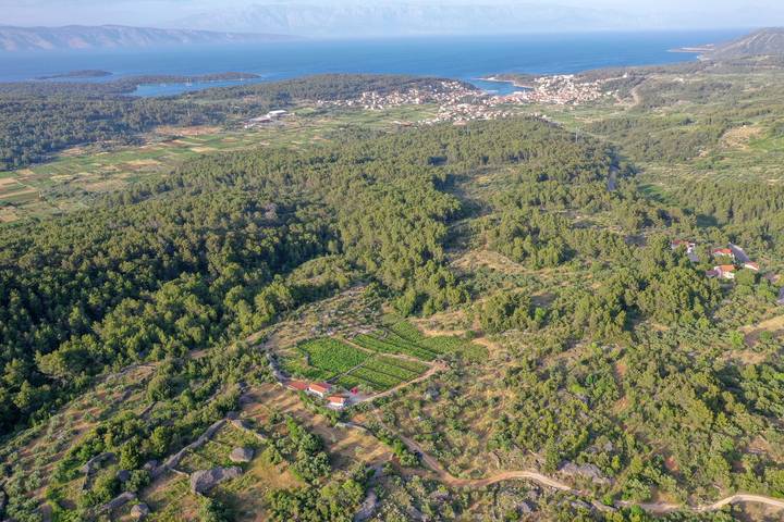 Ferienhaus für 10 Personen, mit Balkon/Terrasse, mit Haustier auf Hvar - 2