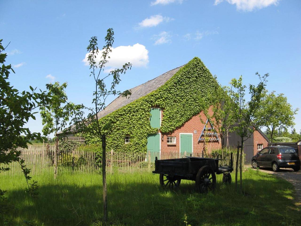 One-Bedroom House in Drenthe