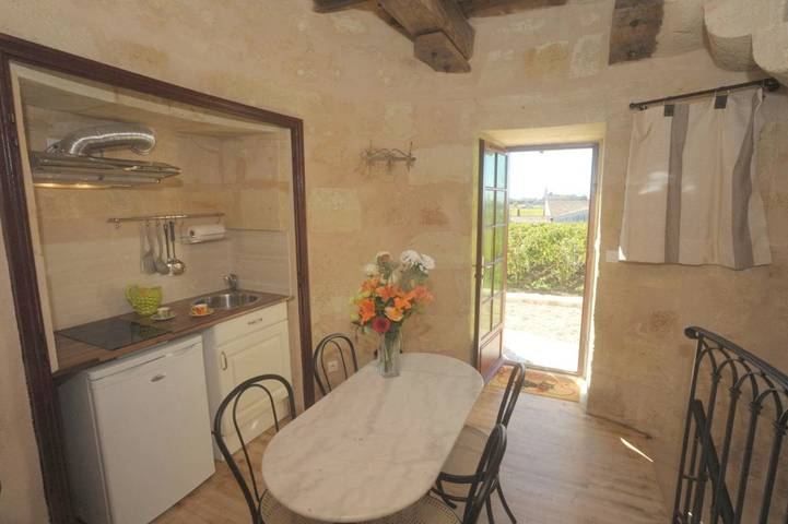 Location de vacances pour 2 personnes, avec vue et jardin, animaux acceptés à Saint-Émilion - 3