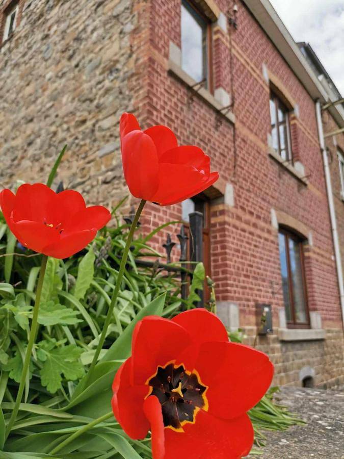 Maison de campagne pour 4 personnes, avec jardin dans Sougné-Remouchamps - 4