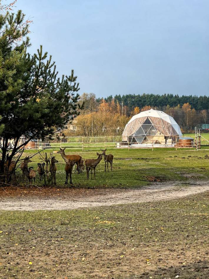 Camping für 6 Personen, mit Whirlpool und Garten in Polen