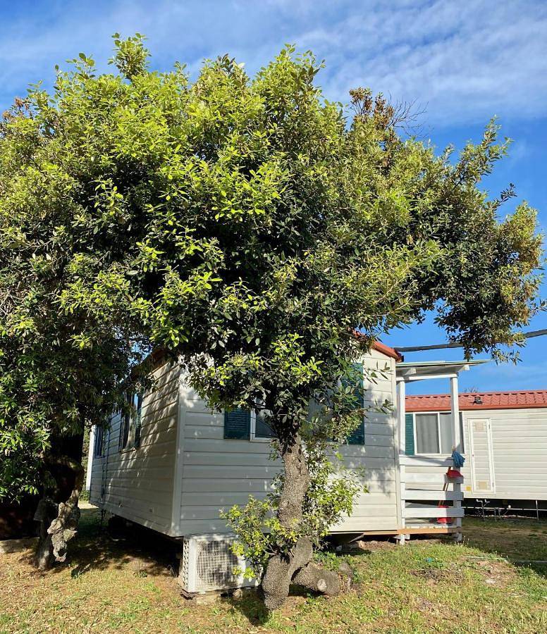 Camping Internazionale Di Castelfusano in Spiaggia Libera - S*P*Q*R, Roma