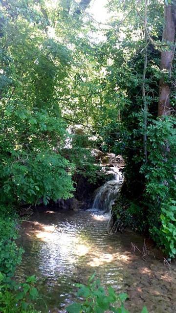 Location de vacances pour 10 personnes, avec jardin et terrasse à Naussac - 2