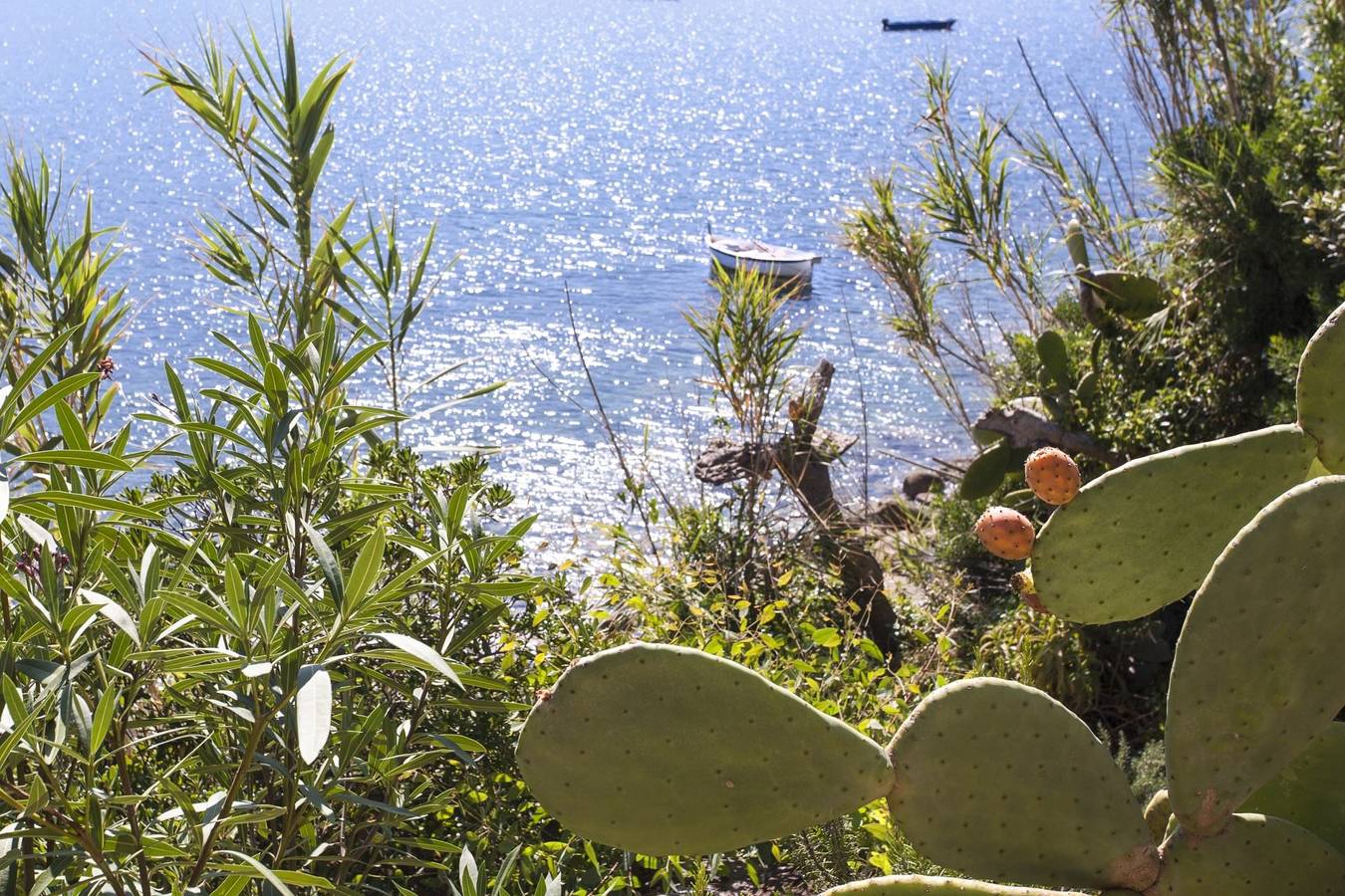 Appartamento intero, Ostrica in Scaglieri, Parco Nazionale Arcipelago Toscano