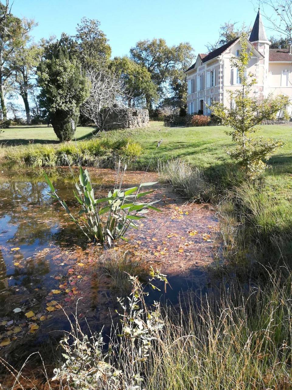 Castel La Bergerie in Laglorieuse, Landes