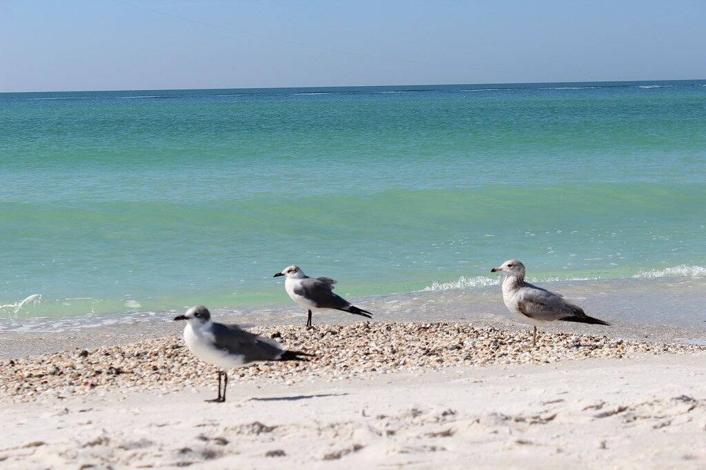 Tropical Villa Anna Maria Island in Holmes Beach, Anna Maria Island