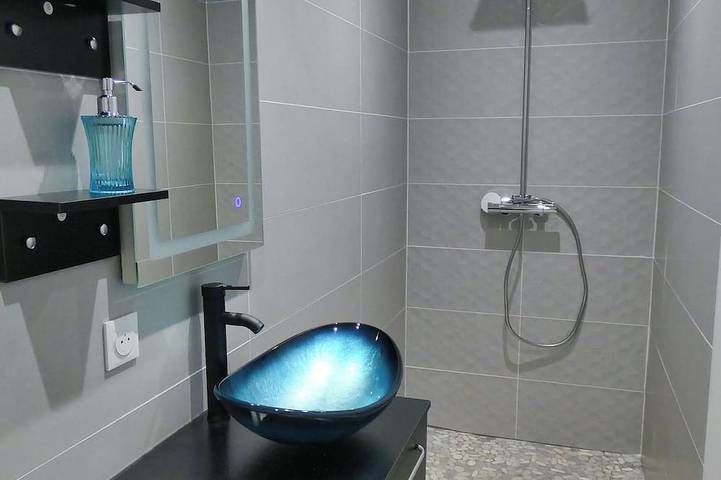 Location de vacances pour 2 personnes, avec balcon ainsi que jardin et jacuzzi à Charavines - 3