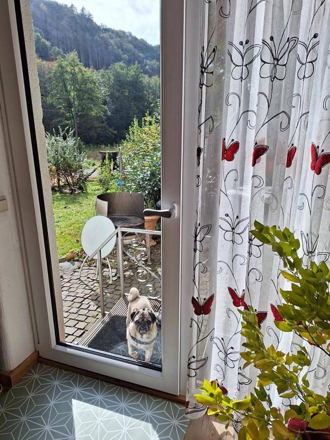 One-Bedroom House in Windeck, Windecker-Ländchen