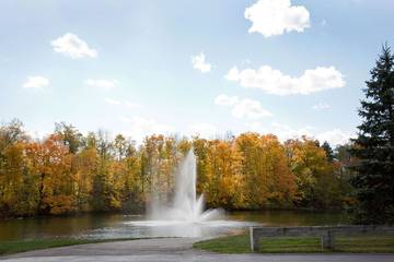 Glamping for 2 Guests in Ohio, USA, Picture 4