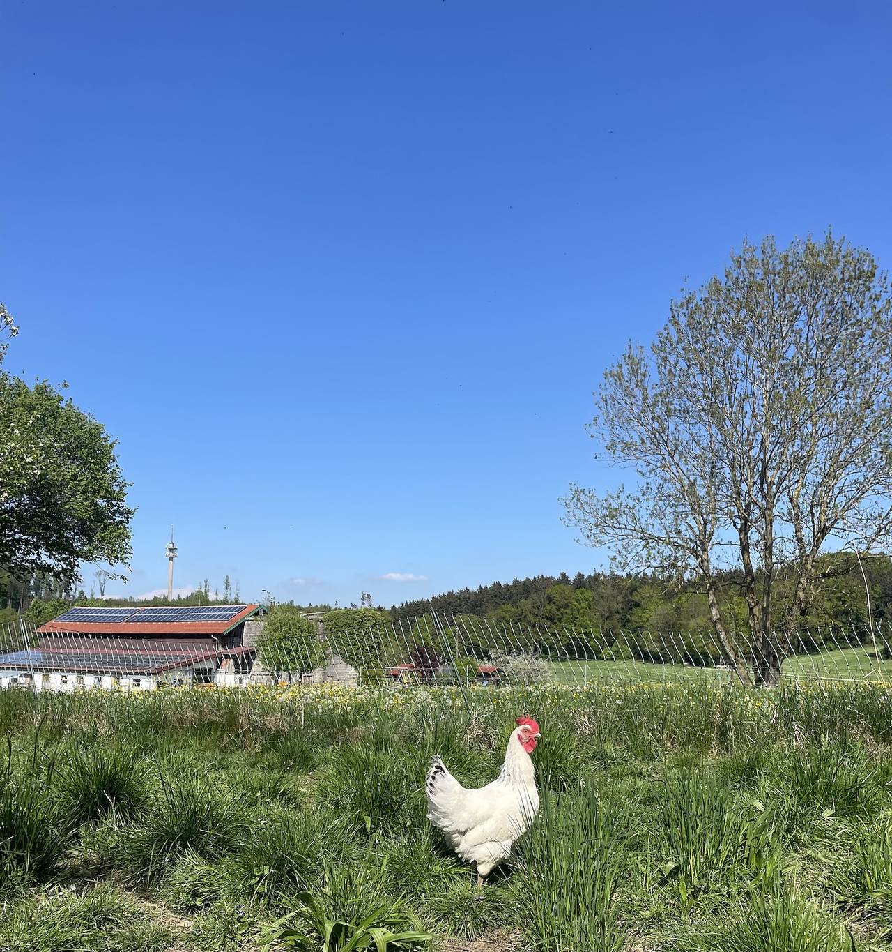 Geheel vakantieappartement, Vakantieappartement voor 4 personen met terras in Traunstein, Chiemsee