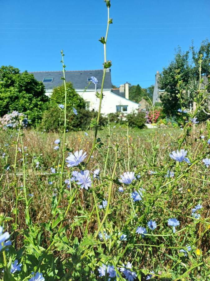 Location de vacances pour 5 personnes, avec jardin et vue à Scaër