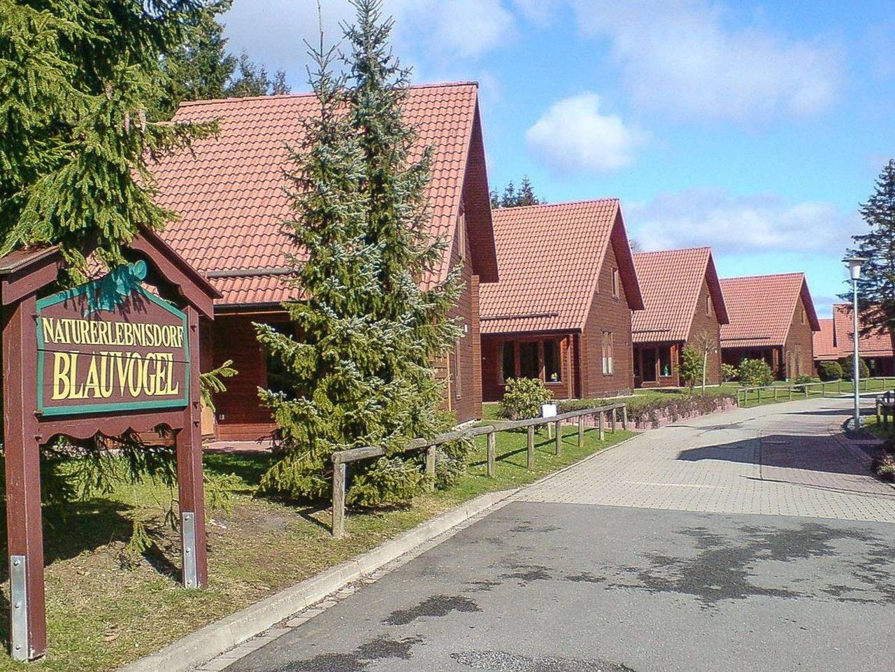 Ferienhaus im Holzblockstil im Naturerlebnisdorf Blauvogel - Helles Holz-Ferienhaus mit Terrasse (Ht in Hasselfelde, Harzvorland