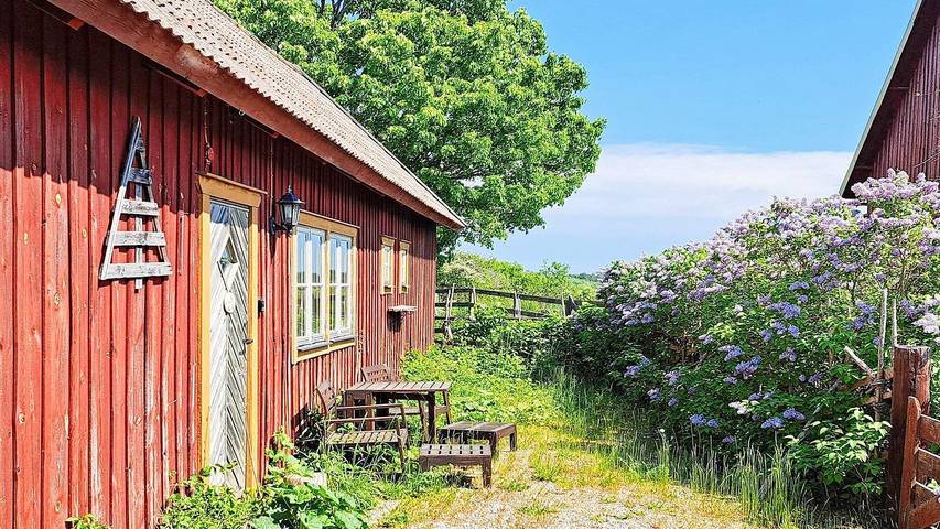 Ferienhaus für 9 Personen, mit Haustier in Gotland - 4