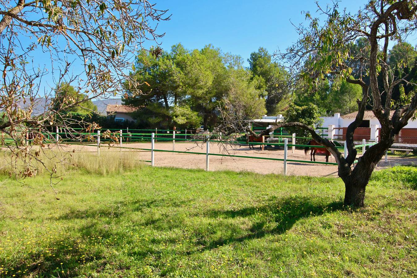 La Sella Kn in La Sella, Pedreguer