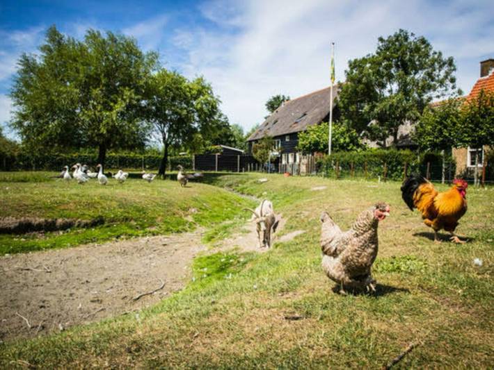 Ferienhaus für 4 Personen, mit Terrasse und Garten