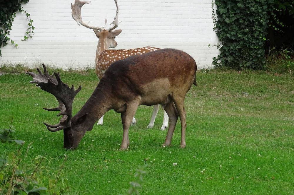 Authentisches Ferienhaus für 6 Personen in einzigartiger Lage und strandnah. in Vrouwenpolder, Walcheren