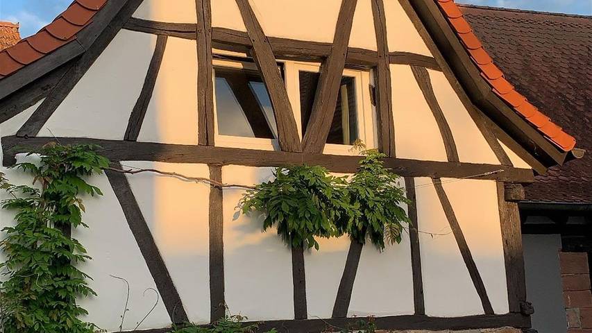 Ferienwohnung für 4 Personen in Trifelsland