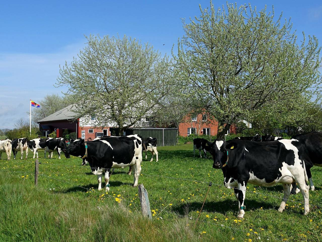 Familie Carstensen in Nieblum, Föhr
