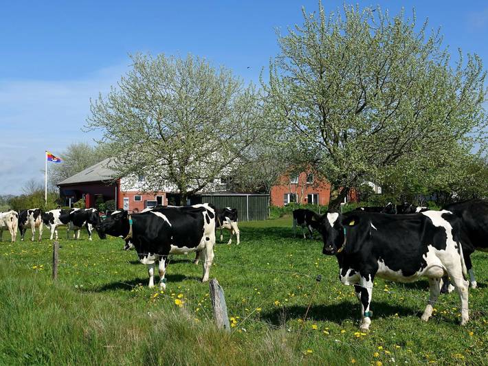 Bauernhof für 4 Personen, mit Garten