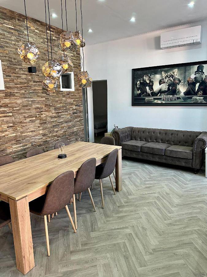 Location de vacances pour 10 personnes, avec terrasse et jacuzzi à Rhinau