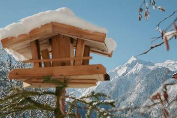 Appartement voor 4 Personen in Kaprun, Pinzgau, Afbeelding 1