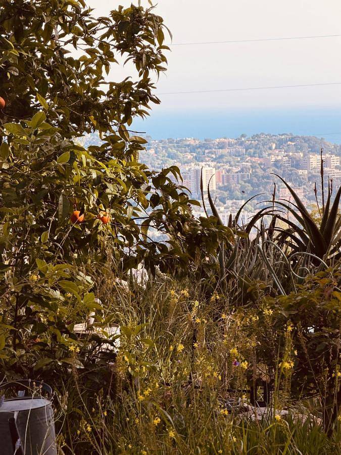 Ferienwohnung für 2 Personen, mit Ausblick und Garten in Toulon - 3