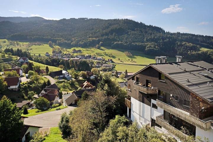 Ferienhaus für 4 Personen, mit Balkon in Nationalpark Schwarzwald - 3