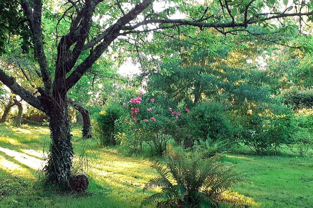 Bed and breakfast in the countryside in Saint-Martin-d'Armagnac, Gers