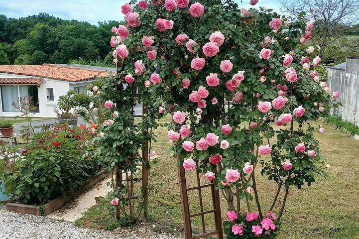 Chambre d’hôtes « Chambre du Jardin » avec terrasse privée, jardin et Wi-Fi in Saint-Aulaye, Périgord Vert
