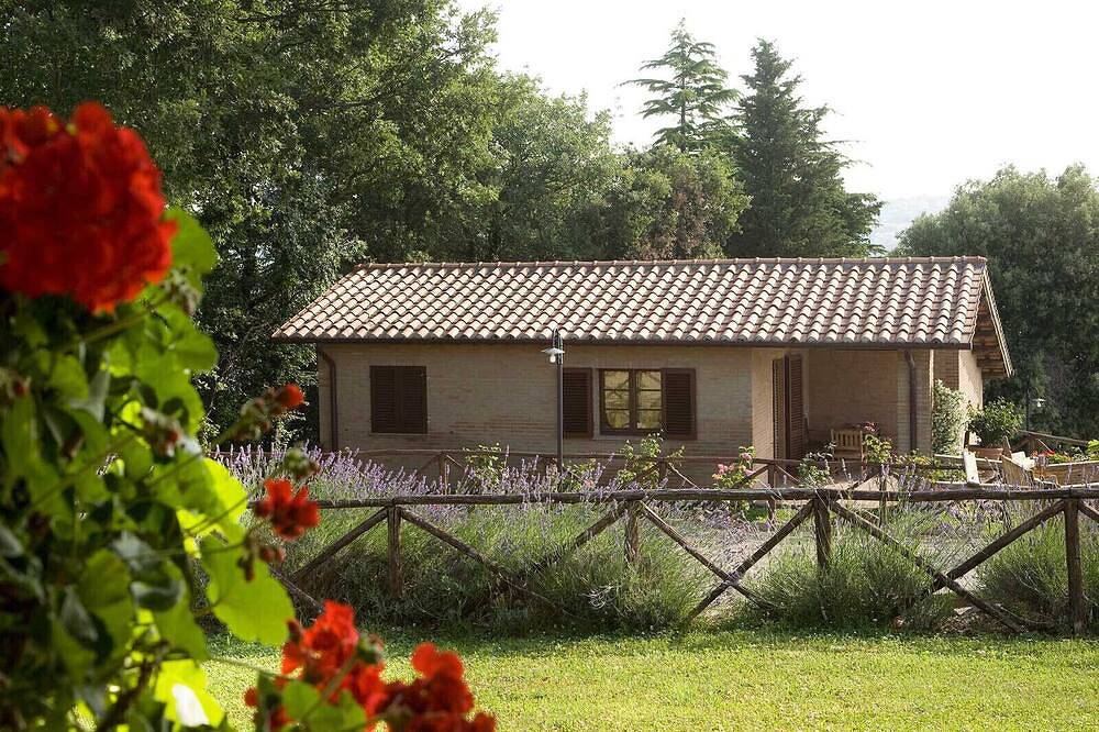 Hel leilighet, Montedoro - Casa Oliveto in Le Mosse, Montefiascone