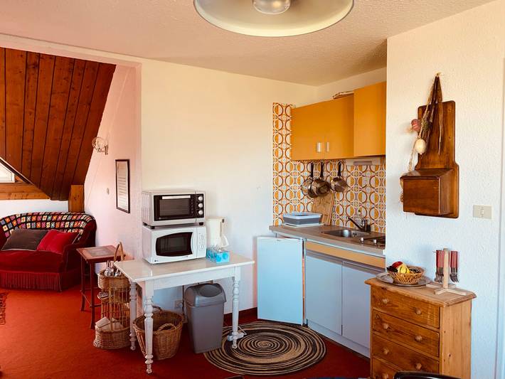 Gîte pour 4 personnes, animaux acceptés dans Pra-Loup (station de ski) - 2